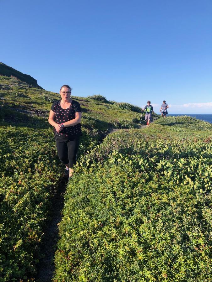 Valhalla Near L'Anse Aux Meadows Екстериор снимка